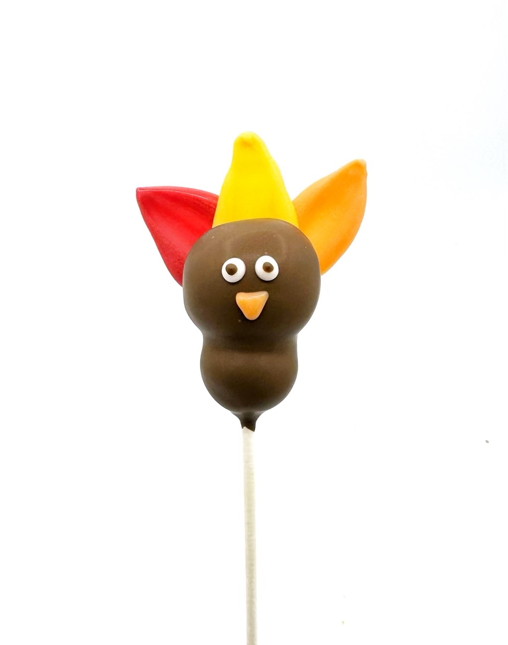 Turkey Cake Pop